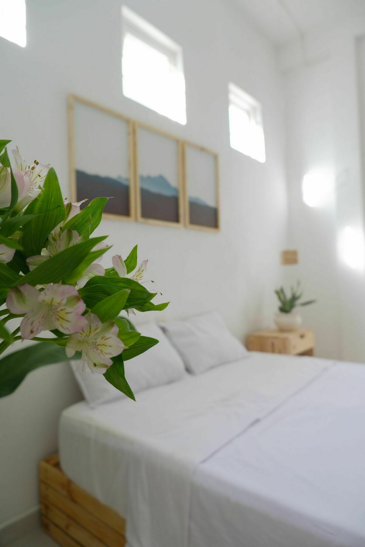 Baobab Homestay Đà Nẵng Ngoại thất bức ảnh